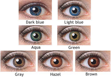 expressions colors contact lenses